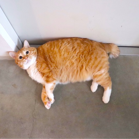 {FF9060D7-15E9-4B47-970C-C74F49EA5912}