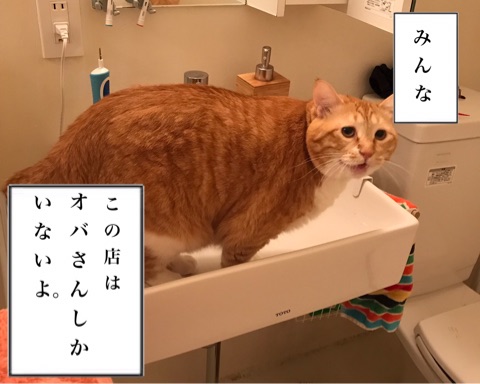 {F83A3824-6EAC-4B44-83C2-79BF7D12B673}