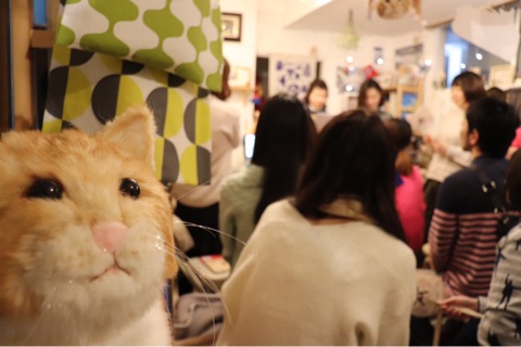 {A9655010-15A1-48CB-9052-F39FA0569C3F}