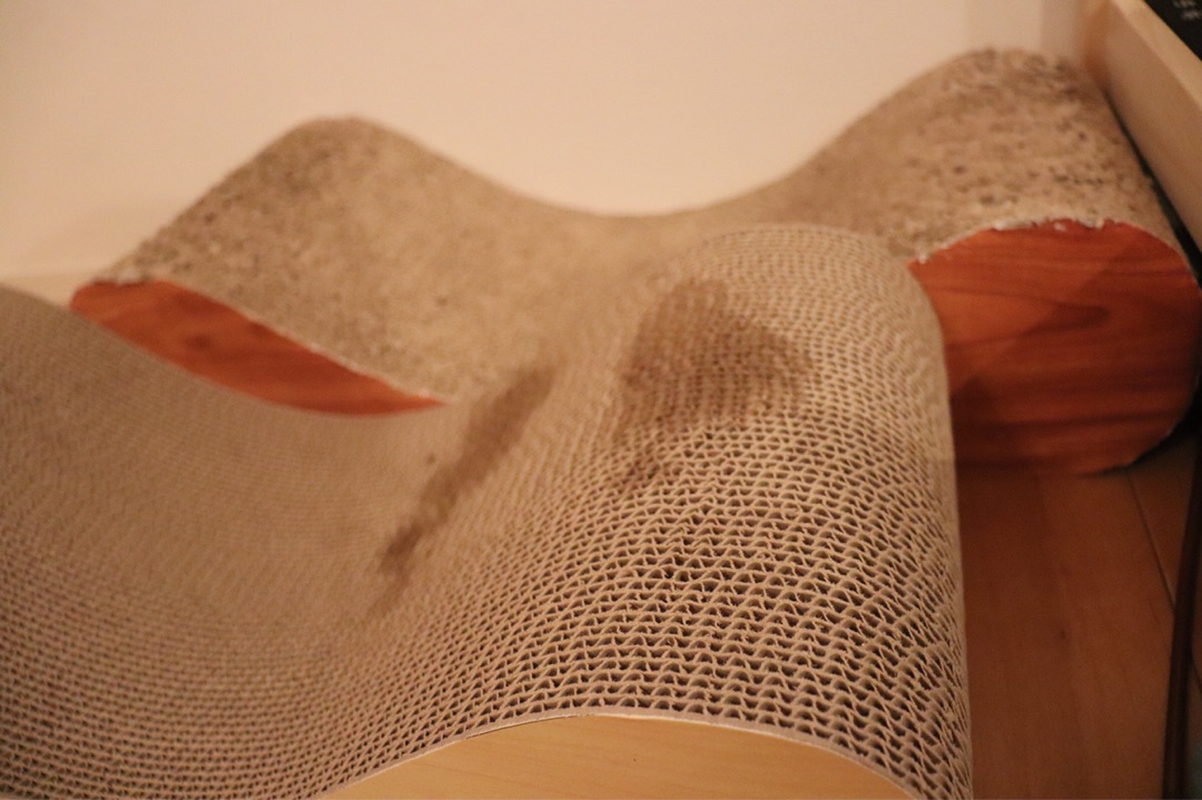 {FD32B5A3-80D9-41CE-83A5-6614F9F76E0E}