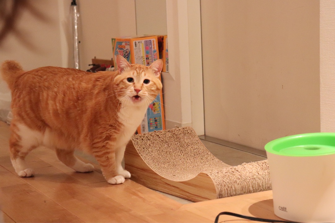 {B89B5BD2-025A-4830-8EB3-2111E3347DAD}