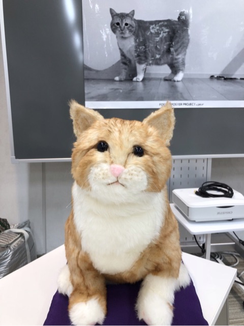 {ED91445A-CB34-4C46-8BBE-55F8E5539105}