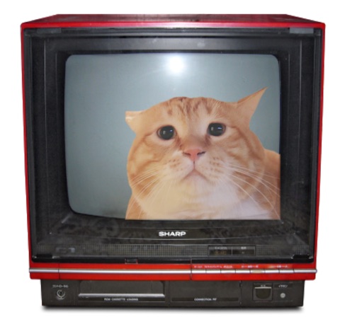 {0BA2F08B-D740-479F-9630-B92006F3B4DF}