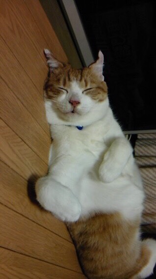 {C9E7B2DC-4E2D-444A-9D05-712826B309F4}