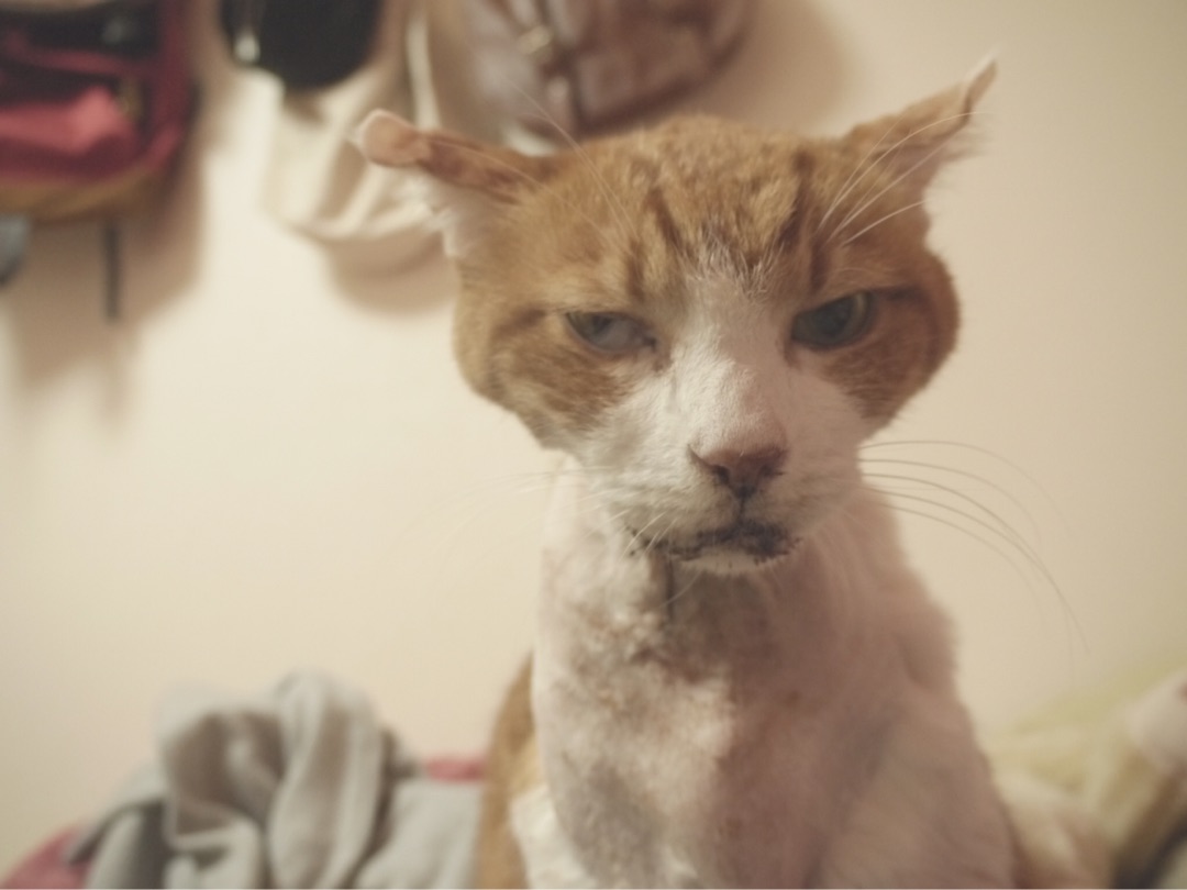 {52C23652-6C70-4153-AC75-649B2A945549}