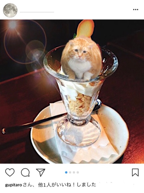 {301E0DD8-A553-4A43-BEEE-C22778490C31}