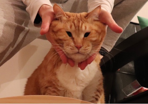 {15D704BA-04F8-4AE8-83E7-7F5286EEA5F0}