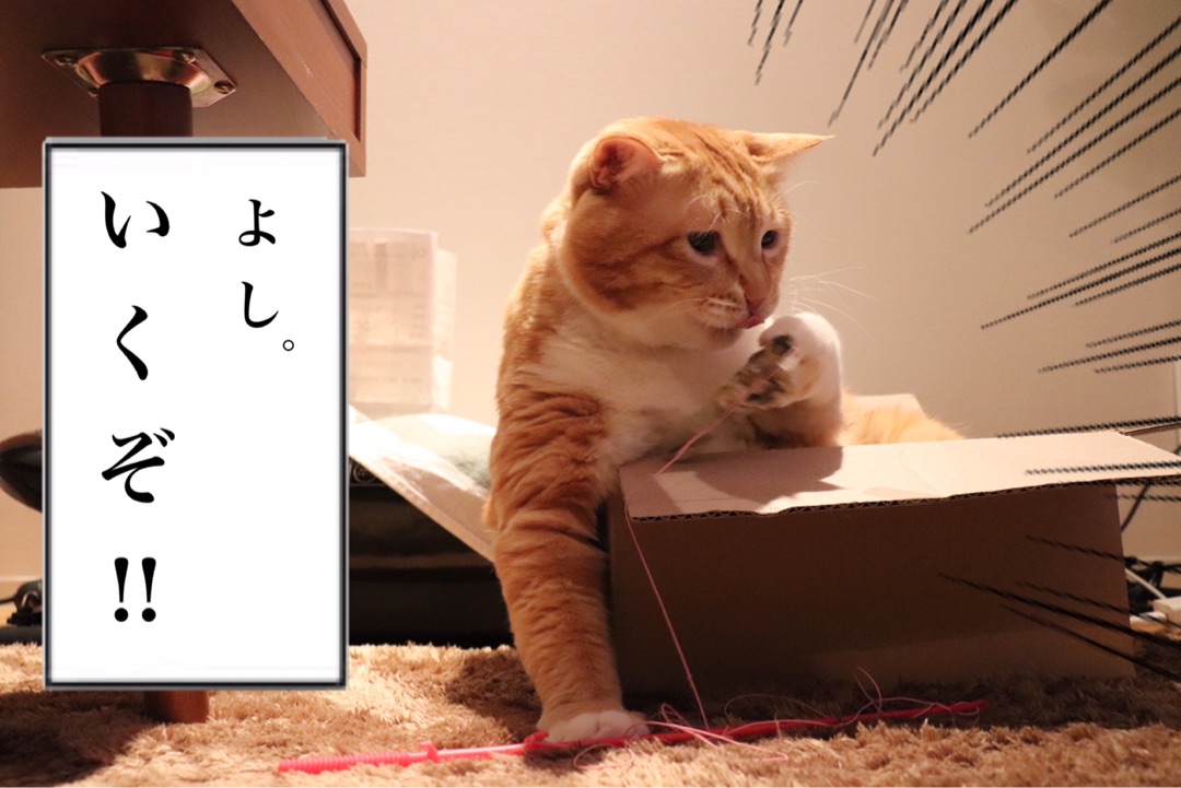 {A6091CF4-5BBC-47C8-B6BD-B415B2826022}