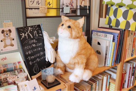 {0F811EF2-A08C-435E-A45E-8B6561C50804}