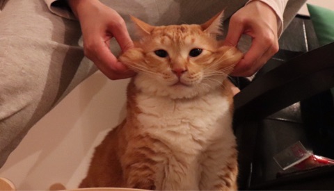 {2C5CFBE3-EA69-4D83-8C18-6287663210F6}