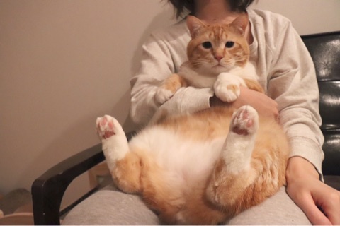 {345226F1-FE2F-4498-A5FA-A955AB32E0D6}