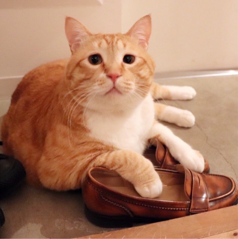 {68583878-8612-46F4-8670-F18D060E2357}