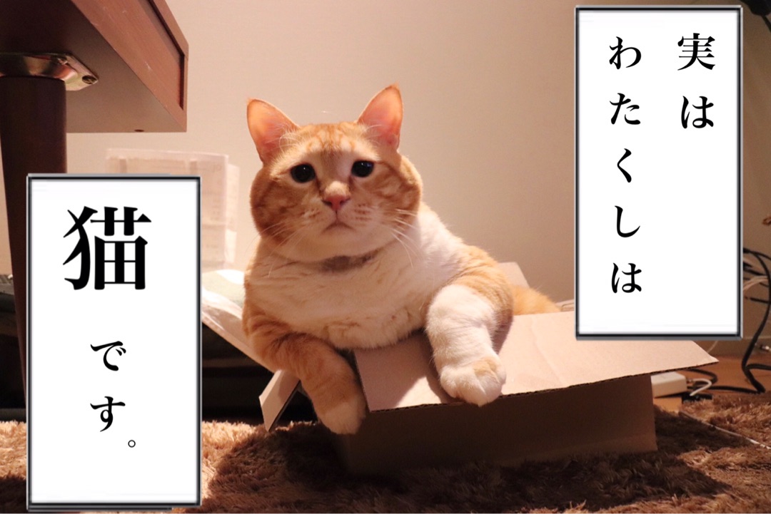 {E2BAC6FC-4D8C-47EA-AE0B-ED98CED49A86}