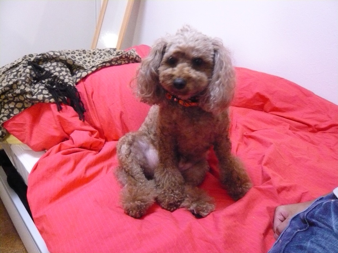 {FD9120D2-ED2E-457F-A827-32AC0668868E}