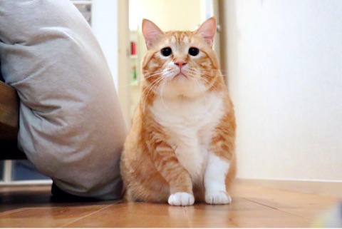 {A4FEC4A8-C561-4E6E-AD39-4D27CD55B2F8}