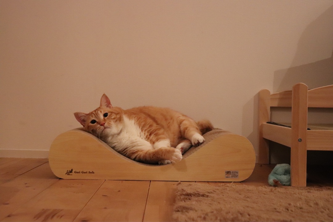 {3FC15419-233C-4C64-A47F-883F2CC95EB1}