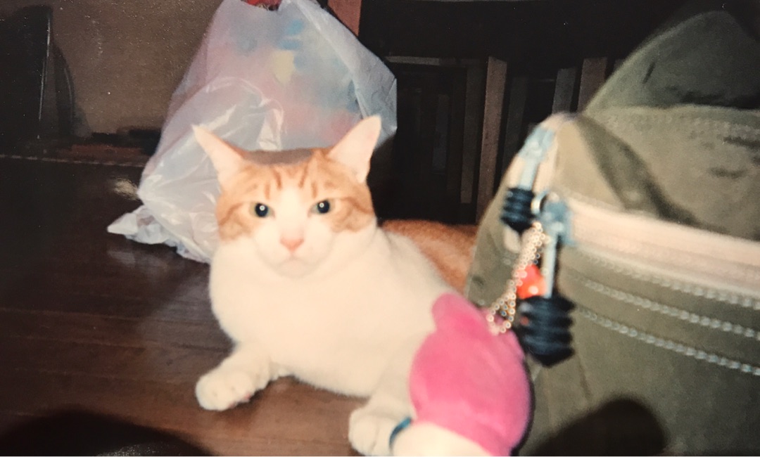 {D7BB1B2F-0570-4353-AF23-BA1389033E60}