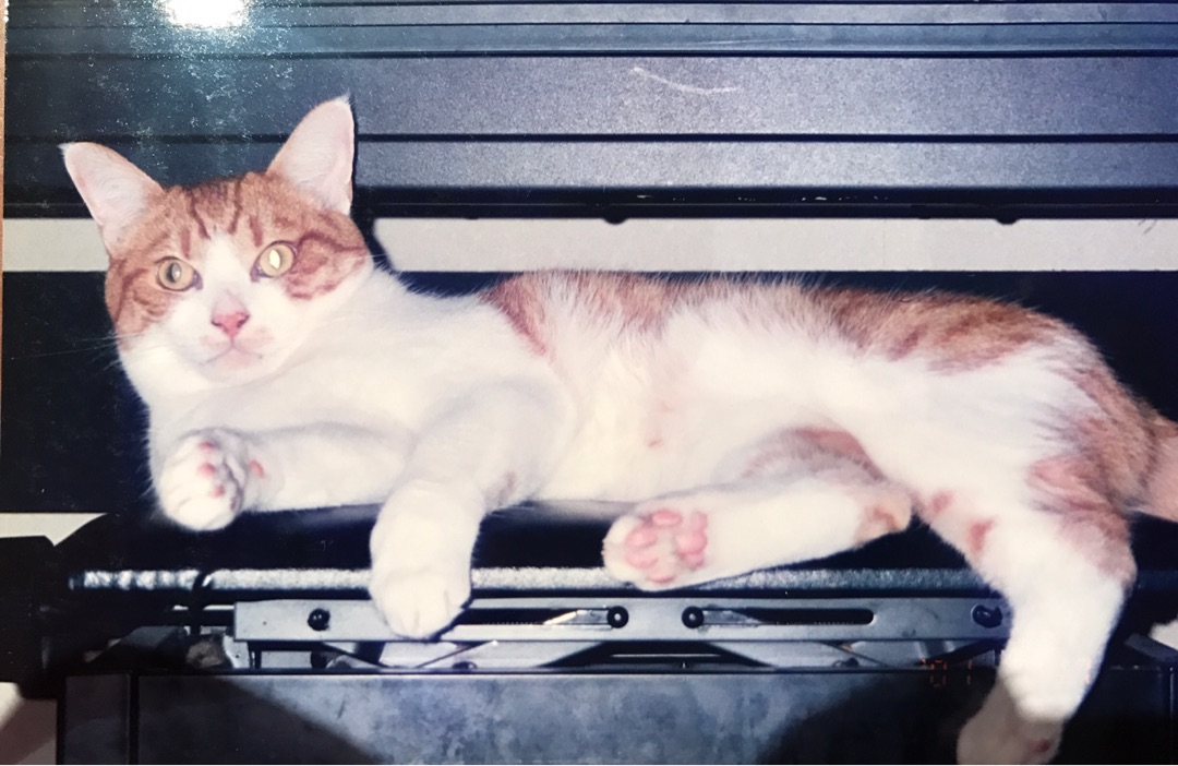 {CEBF56D6-68DE-4D62-B41A-739F055C8A62}