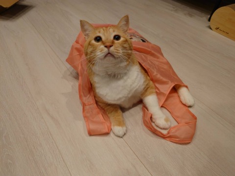 81E302E5-ED99-4646-B43E-CD818364A9FB