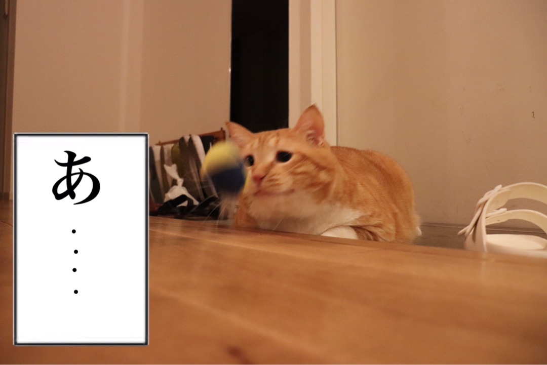 {2756E0B4-A179-4BCF-BA0E-AF5C8C8FCB68}