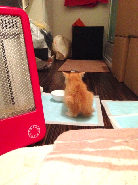 {D240342A-FCDB-4AB6-B99A-79B1957627EB}