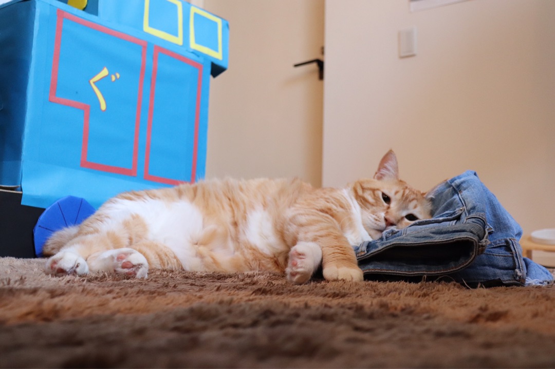 {3A04BDEC-C8D9-4EA7-A033-A30BCAFDA847}