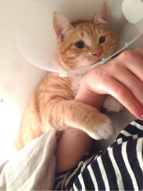 {06B9083A-2259-4DF1-9E88-22F97993EAAF}