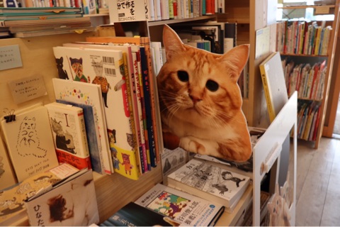 {73EE9313-88AC-4CFC-B46C-323F4E0FFE68}