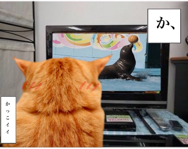 {4CDC2281-23C7-4259-886F-E199A20C10D4}