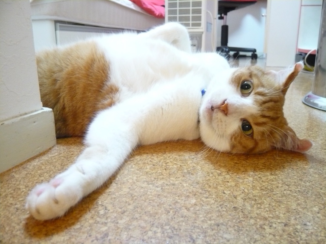 {C634BB8C-FC9A-42E7-8E62-48DDA202A4FD}