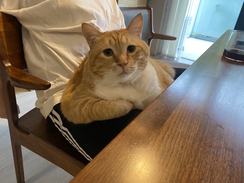 1CA465F0-D70C-4C2E-A160-8DAD8283430F