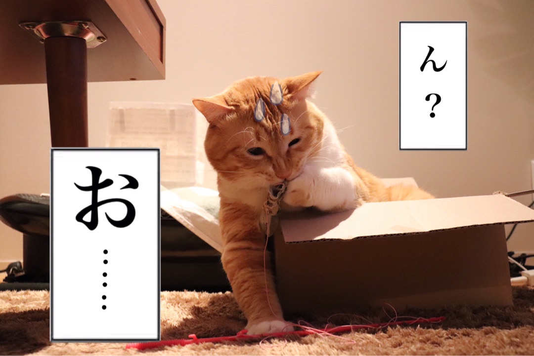 {316FAC77-D9D1-4B30-AB44-4963211B71C1}