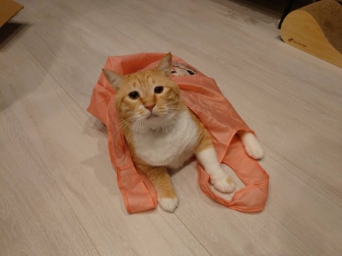 5240F867-D30D-41FB-82EF-BC6FA98508A0