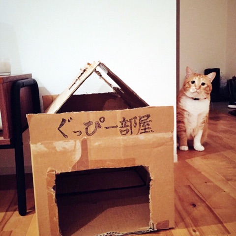 {BD0CA0BF-2F75-483B-A152-FA0E5F6275D8}