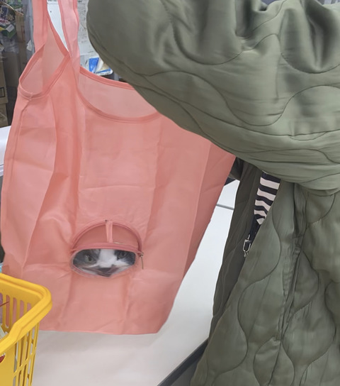 142F7CDC-0D95-4370-85A4-CAF44A857DDE