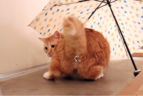 {A90BD0D0-6A89-449C-B2E8-D4522D9A1C10}