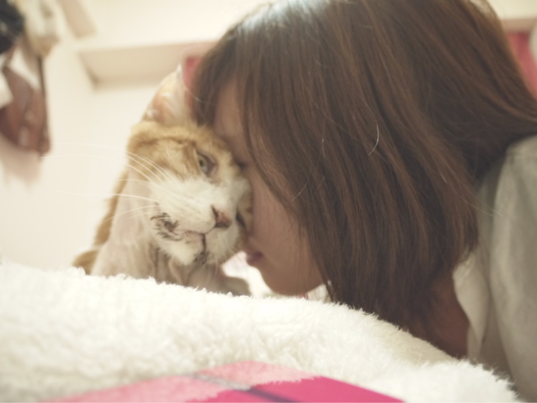 {AE88F45E-2A00-4676-84BC-06B7F76609F3}