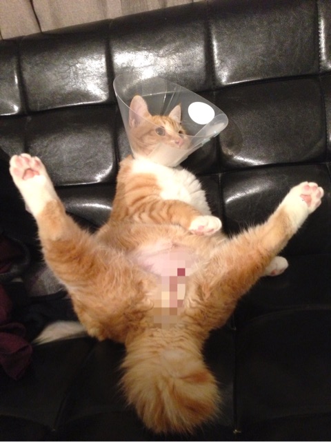 {59D8DA98-97D7-4215-9B76-82A4745D444A}