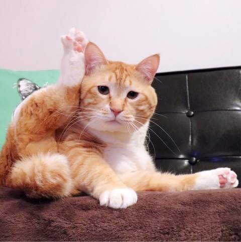 {ADCA068E-2E86-4965-9B9E-8A863671A175}