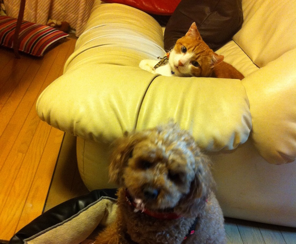 {E2D7817E-6254-4665-940B-06ED30346F19}