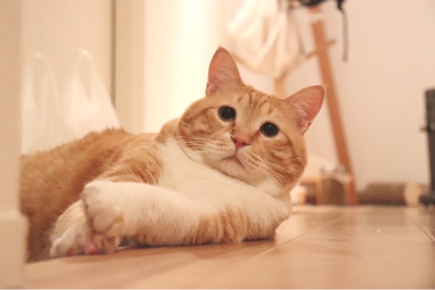 {2D9BE1F2-24ED-4622-A789-046F94DBF08D}