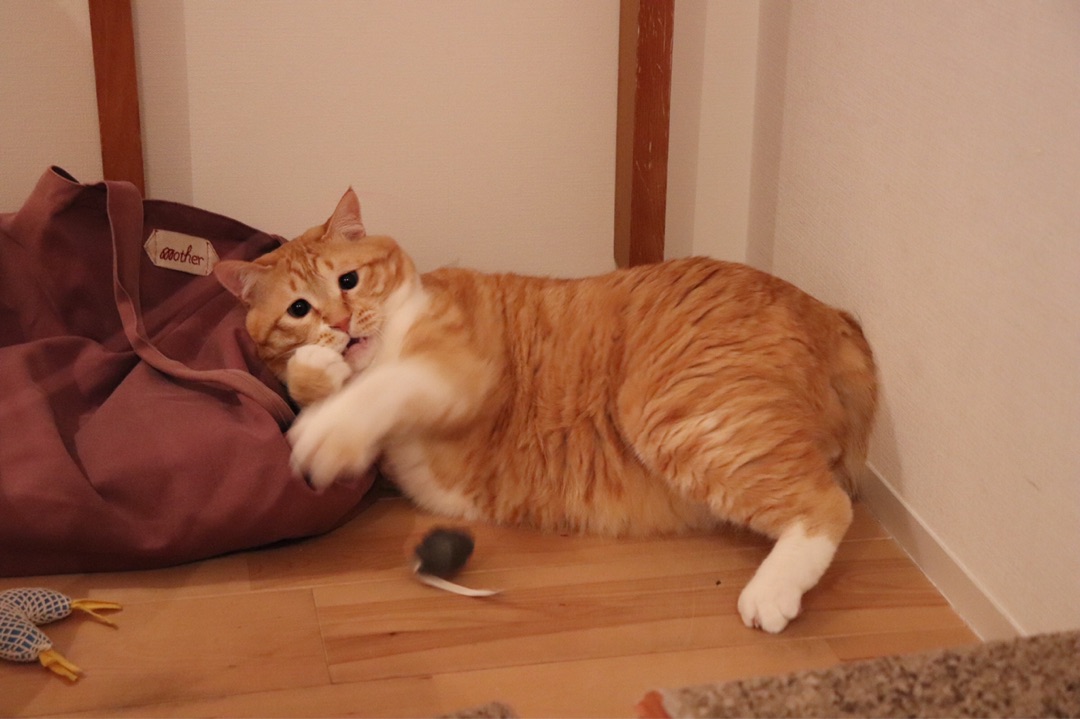 {9533A0E6-78A9-4EC2-9797-C9856C0717E4}