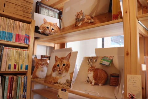 {9A1F4E5C-F45D-43DF-9B30-77461F8CE76B}