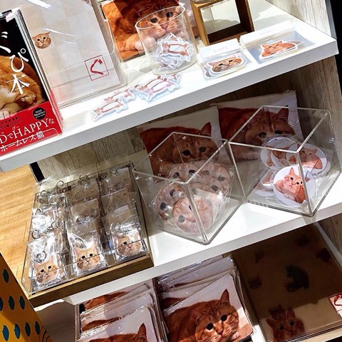 {97163E41-267D-4625-AFE5-9324CB42EE5C}