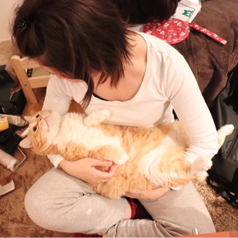 {2C38A048-0B39-45A6-B65C-06996D7084E0}