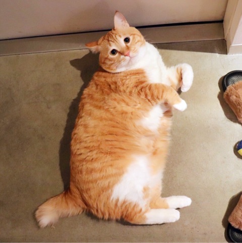 {FCF4F63A-1451-451B-B64A-ED9B76B0F18E}