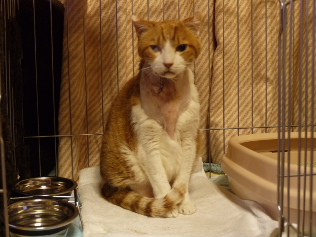 {E34C70B2-564C-4FC1-BEF2-2CDFE203BC65}