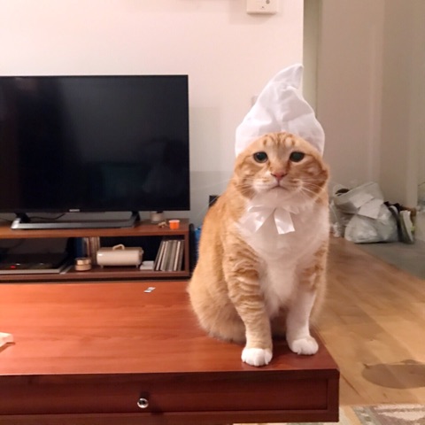 {B982A752-3668-4121-8167-086139CD4101}