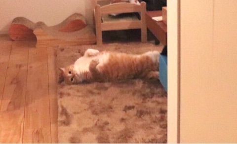 {E5970943-7A78-419B-B9DD-B9014DABCBB9}