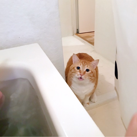 {DB265D4C-9621-4DD6-947C-A784C240E97E}